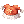 Twin Pompom By JB