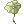 Lotus Leaf