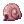Snail's Shell